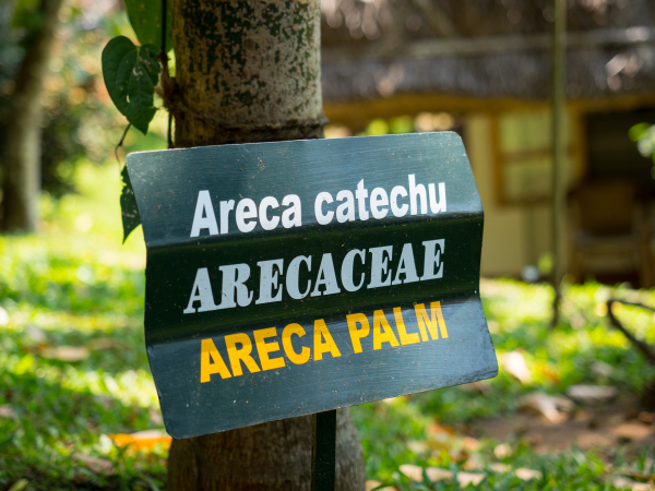 Best offers for Spice Village-CGH Earth Theakada 