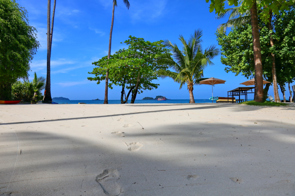 أفضل العروض ل  كو شانج