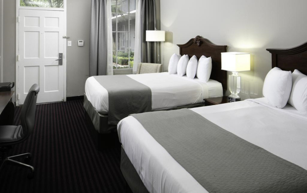 Best offers for Maison St Charles Hotel and Suites New Orleans 