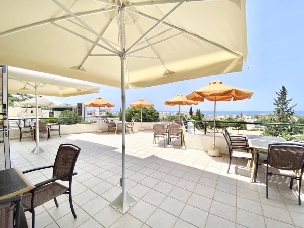 أفضل العروض ل  بافوس