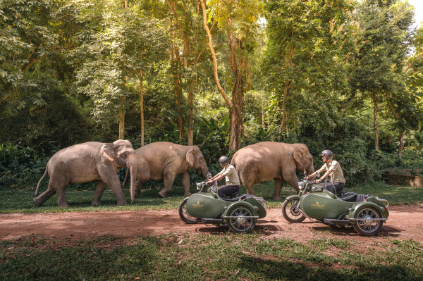 Best offers for Anantara Golden Triangle Elephant Camp & Resort Chiang Saen