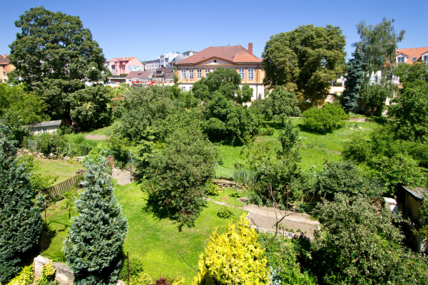 Best offers for Aida Prague