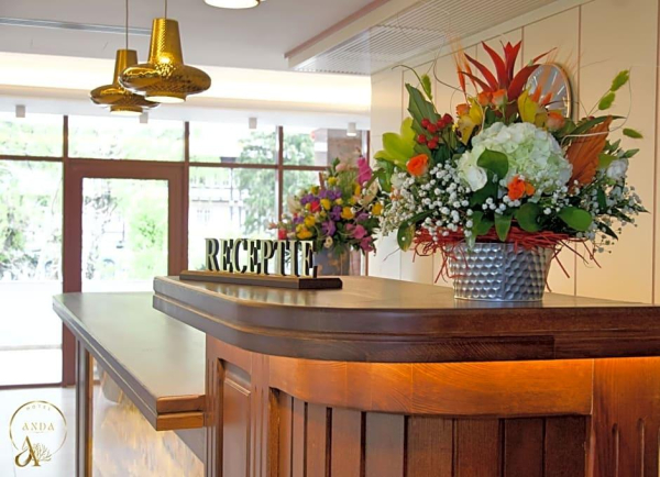 Best offers for Hotel Anda Sinaia
