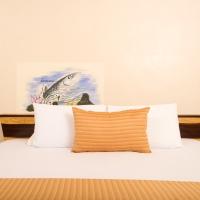 XTUDIO COMFORT HOTEL - ADULT ONLY