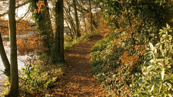 أفضل العروض ل فندق ماكدونالد كيلهاي كورت ويجان