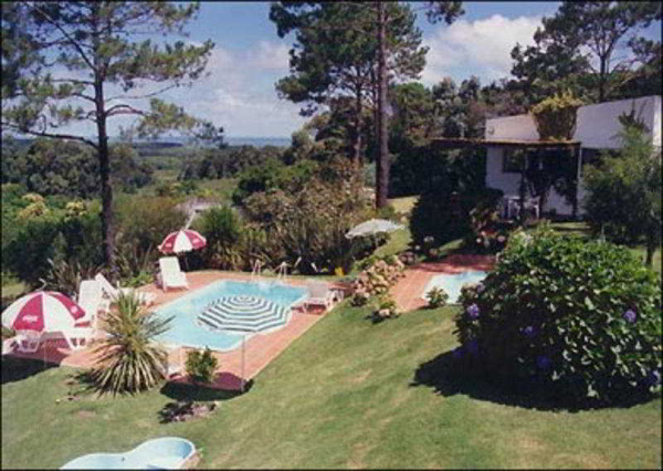 Best offers for L'ete Punta Del Este