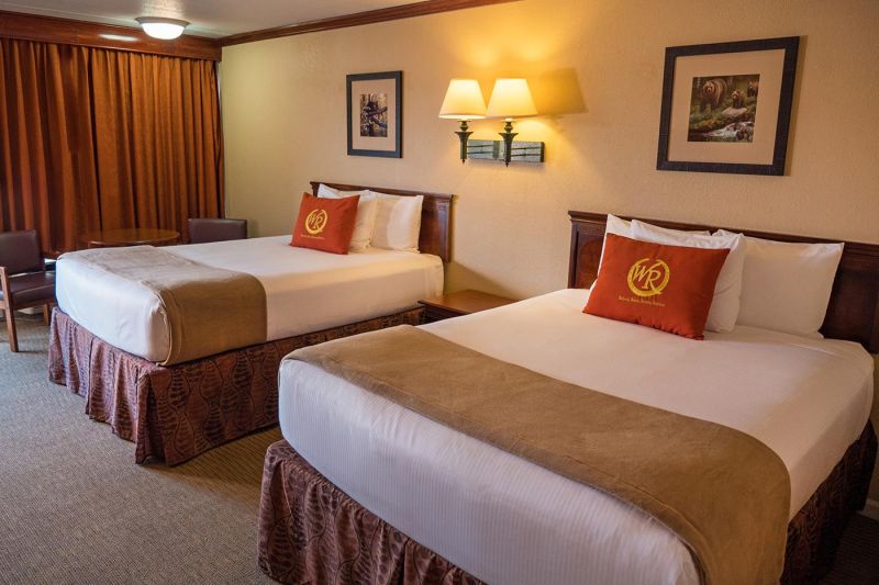 Best offers for Wild Bear Inn Pigeon Forge 