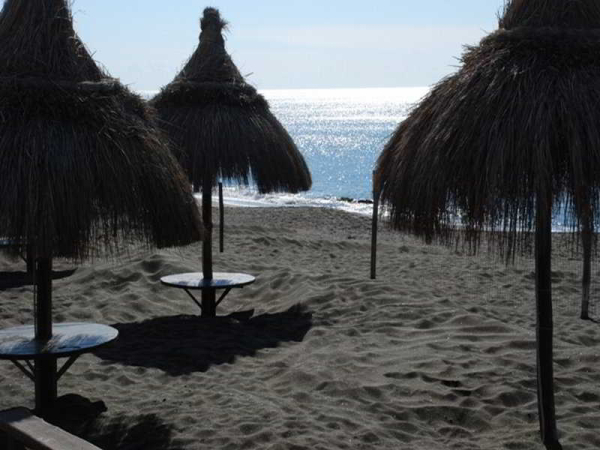 Best offers for Alle Tamerici Ladispoli