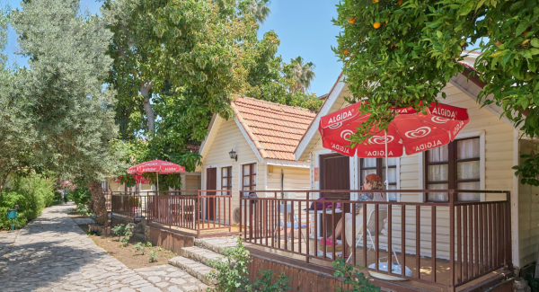 Best offers for Clover Magic Nova Beach Side