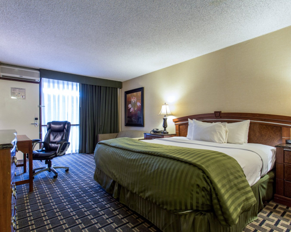 أفضل العروض ل  مودسانت 