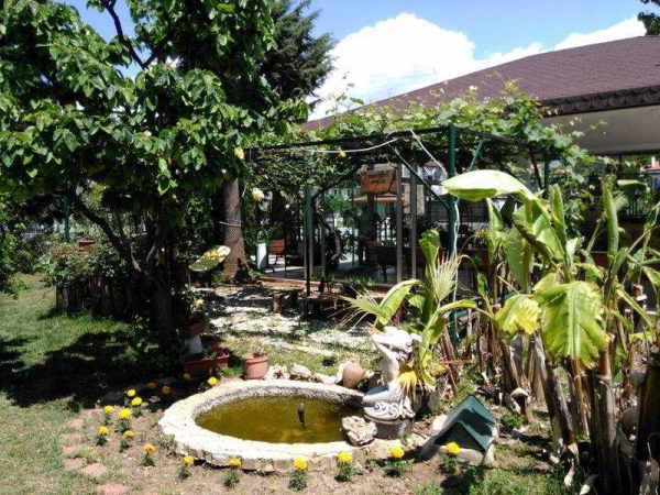 أفضل العروض ل  فذيي