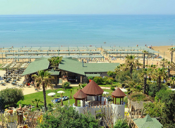 Best offers for Oleander Side