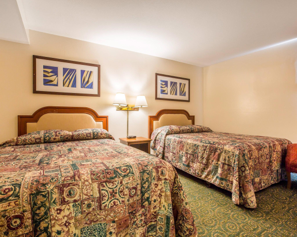 أفضل العروض ل  اناهيم 