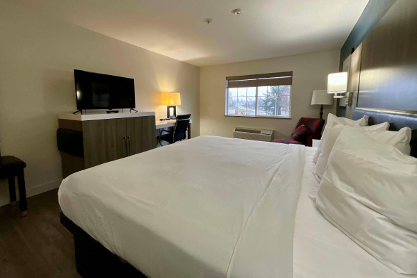 أفضل العروض ل  سياتل