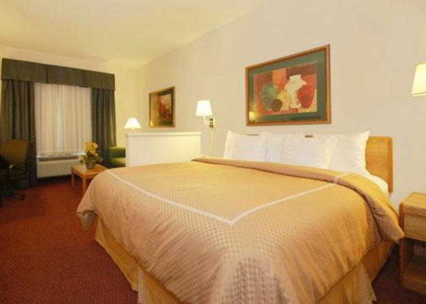 Best offers for Comfort Suites New Braunfels New Braunfels