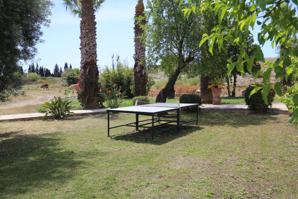 أفضل العروض ل  سرقوسة