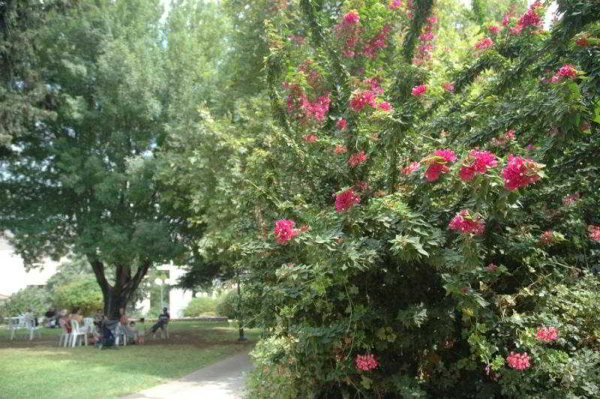 أفضل العروض ل  طبريه