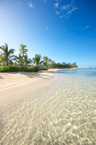 أفضل العروض ل تاماسسا بل ومبر بل ومبر