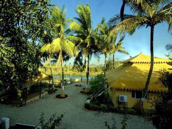 Best offers for Lion Safari Camp Gandhinagar