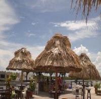 Best offers for Reef Village Belize 