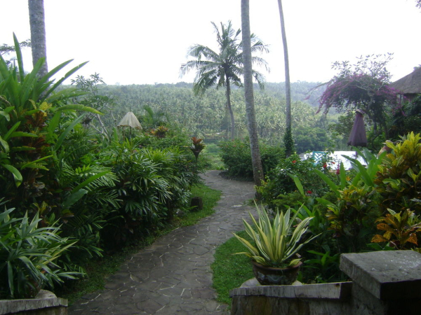 Best offers for TAMAN BEBEK Ubud