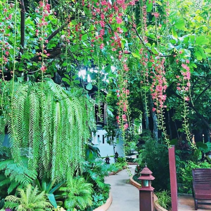 Best offers for Yantarasri Resort  chengmai