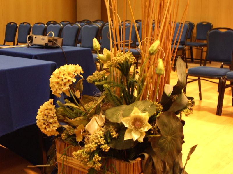 Best offers for Pacific Fortino Turin