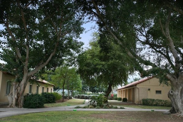 أفضل العروض ل  طبريه