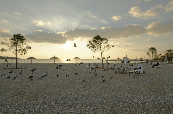 Best offers for Palmyra Beach Glyfada