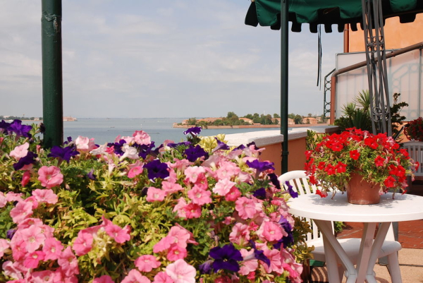 Best offers for RIVIERA Celle Ligure