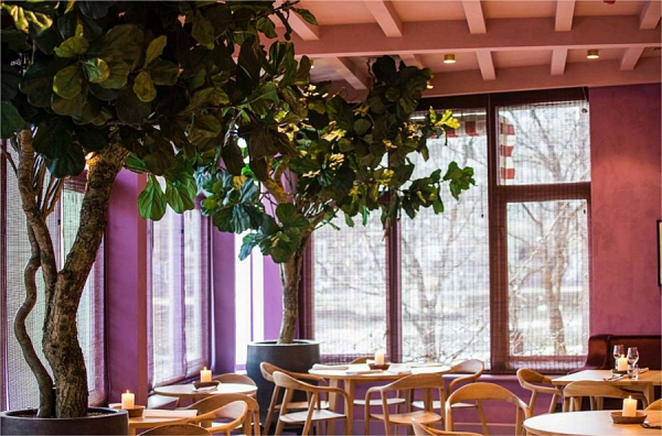Best offers for TIVOLI DOELEN AMSTERDAM Amsterdam