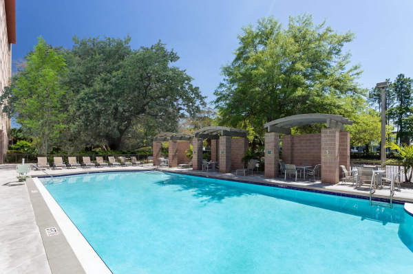 أفضل العروض ل مباسي سويتس باى هيلتون تامبا اصف نير باصتش جارد تامبا