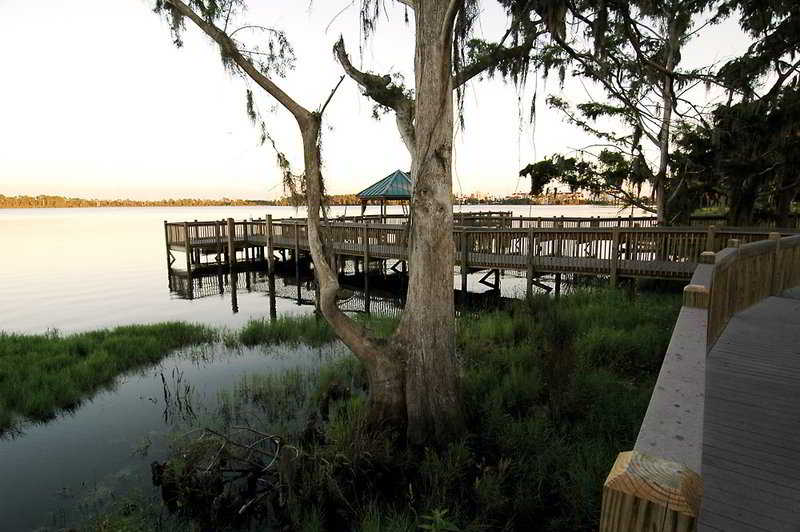 Best offers for Blue Heron Beach Resort Walt Disney World