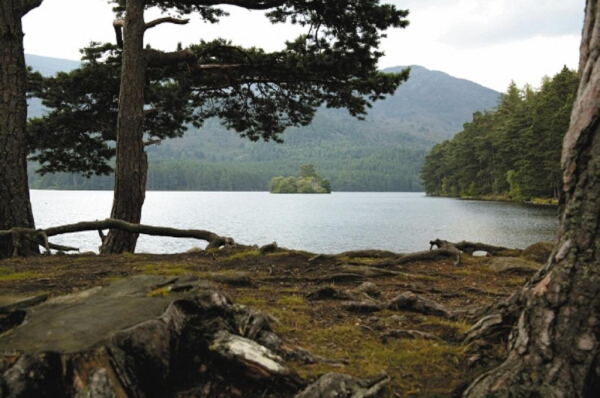Best offers for Macdonald Morlich Hotel Aviemore