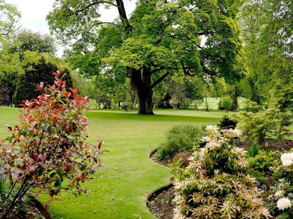 أفضل العروض ل MACDONALD HOUSTOUN HOUSE إيديمبورج