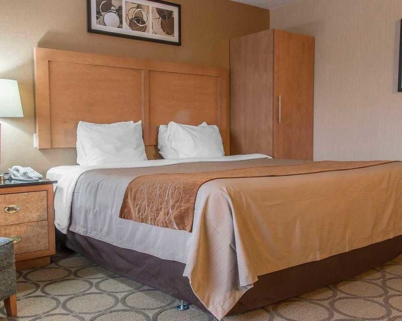 أفضل العروض ل كومفورتان ذاندر باي ذوندر باي