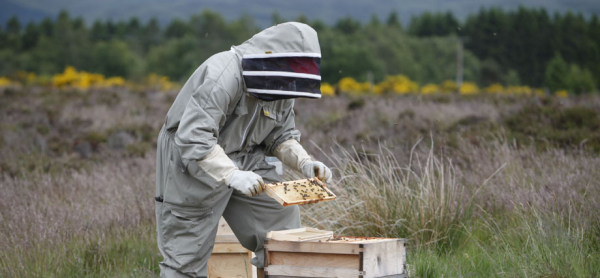 أفضل العروض ل  اوتشتراردر 