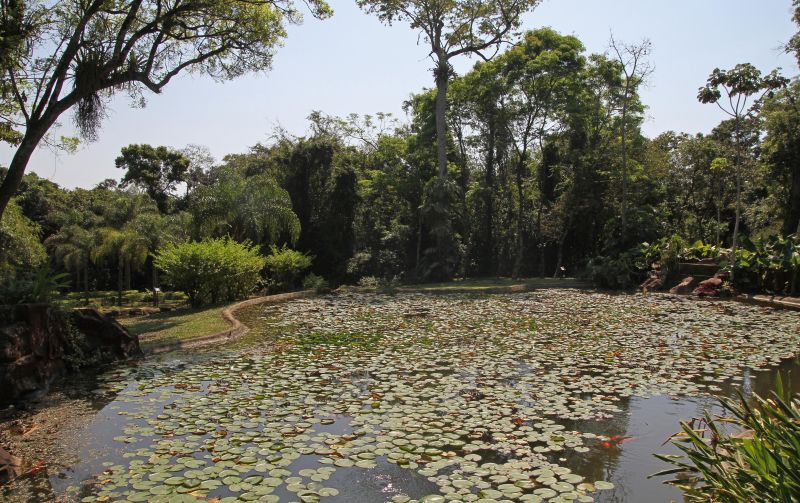 Best offers for Iguazu Grand Puerto Iguazú