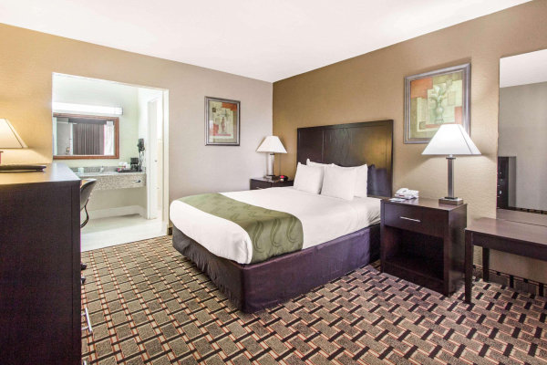 Best offers for Quality Inn & Conference Center Tampa Tampa