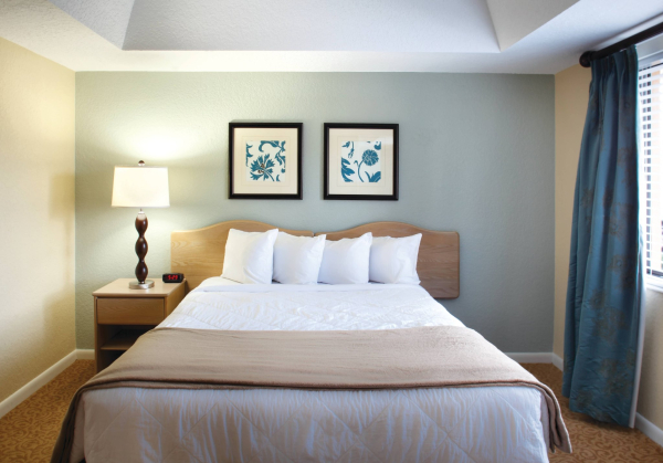 أفضل العروض ل كلاب ويندهامارلاندو انترناشيونال أورلاندو