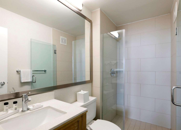 أفضل العروض ل ذ وايفارر سان ديجو سان ديجو 