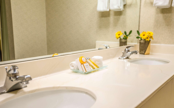 Best offers for Hotel 116 - a Coast Hotel Bellevue Bellevue