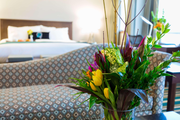أفضل العروض ل Hotel Blackfoot كالجاري