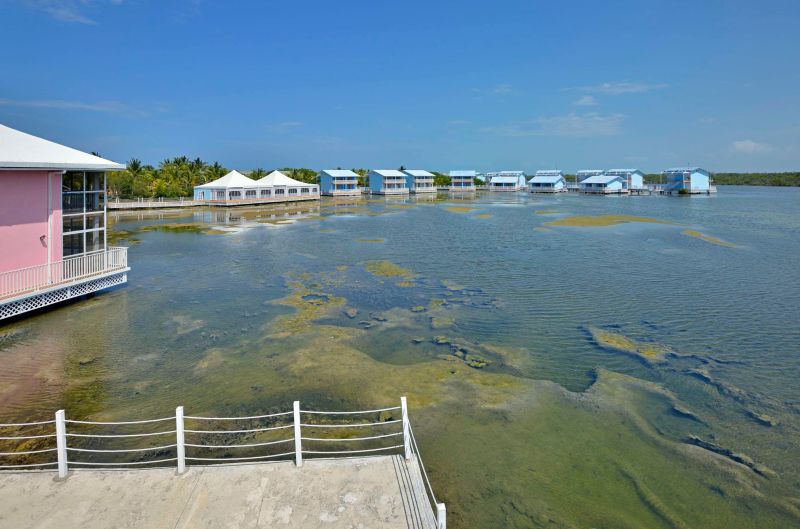 Best offers for Melia Cayo Coco Cayo Coco