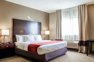 أفضل العروض ل  لومبارد 