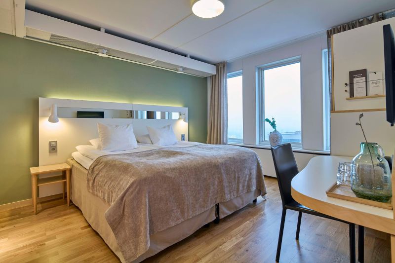 أفضل العروض ل سكانديك امي بلازا يومي 