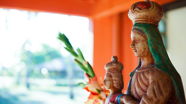 أفضل العروض ل  كاماكاري