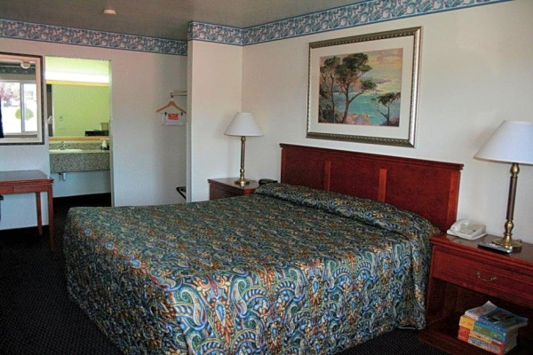 Best offers for Driftwood Santa Clara 