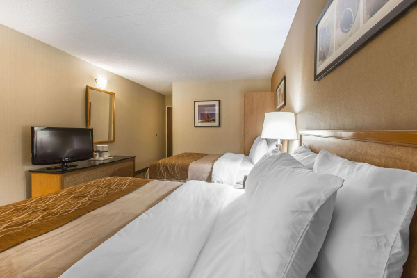 أفضل العروض ل  سيدناي