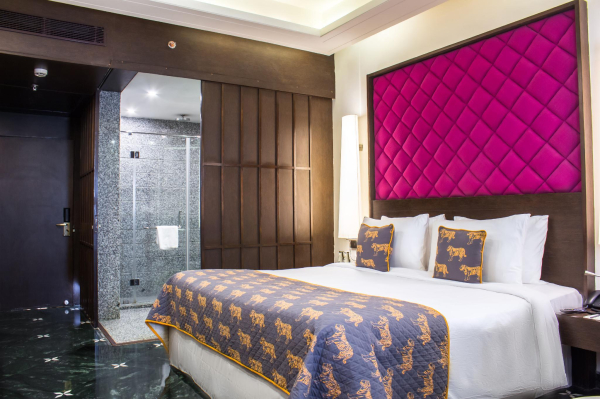 Best offers for Clarks Amer Jaipur